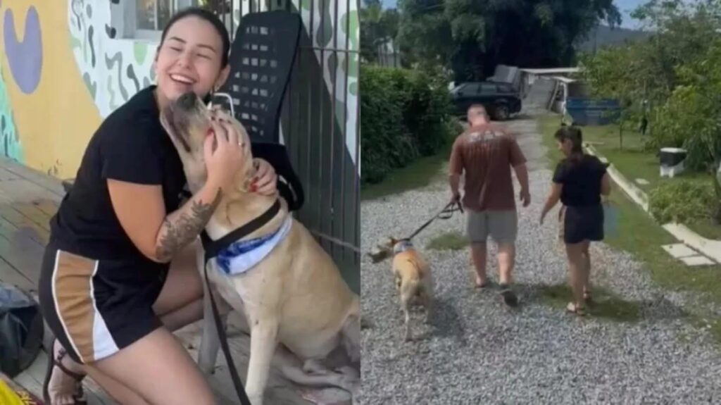 ERA DE PATO BRANCO PR HOMEM QUE MORREU AFOGADO E CACHORRO FICOU AO LADO DO CORPO.