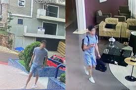 Homem entra em condomínio de luxo em Foz do Iguaçu e furta cerca de R$ 6 milhões em dinheiro e joias, diz polícia