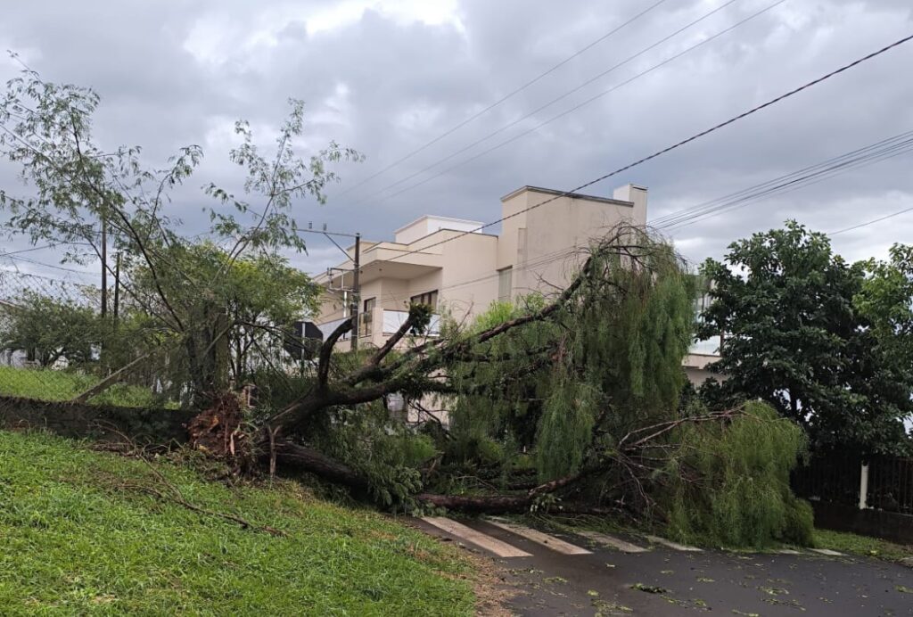 Temporal causa destelhamentos e queda de árvores no Extremo-Oeste de SC