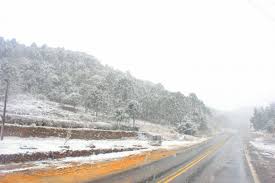Vai nevar no estado inteiro? Saiba onde e quando está previsto cair neve em SC